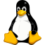 Linux Server